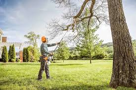 Best Aeration Services  in Palermo, CA